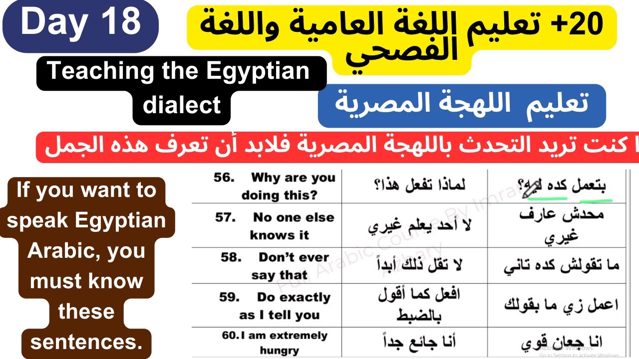 20+ Learn Egyptian Arabic sentences,تعلم اللهجة العامية المصرية بالمنزل, Imran Azhari