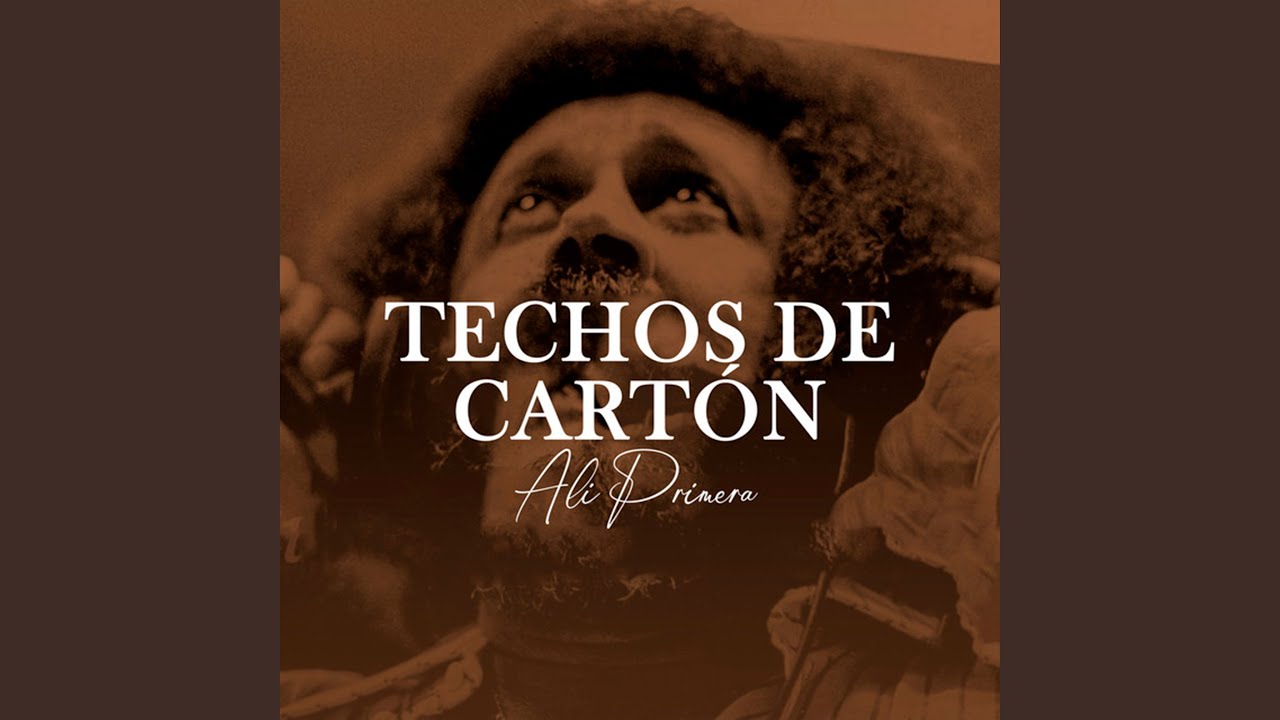 Techos De Cartón