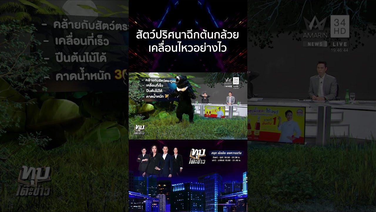 ระดมคนครึ่งร้อย! ปูพรมล่าสัตว์ปริศนาทำลายสวนกล้วย | ทุบโต๊ะข่าว