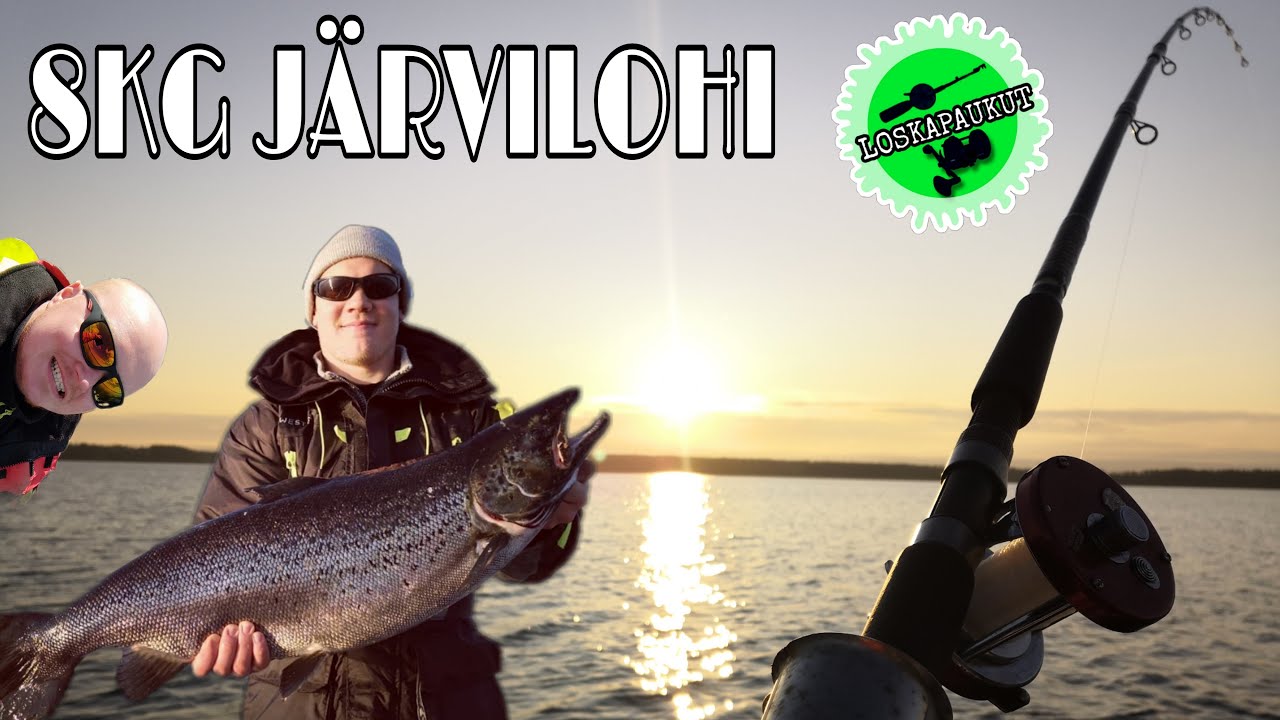 Loskapaukut - 8kg Järvilohi