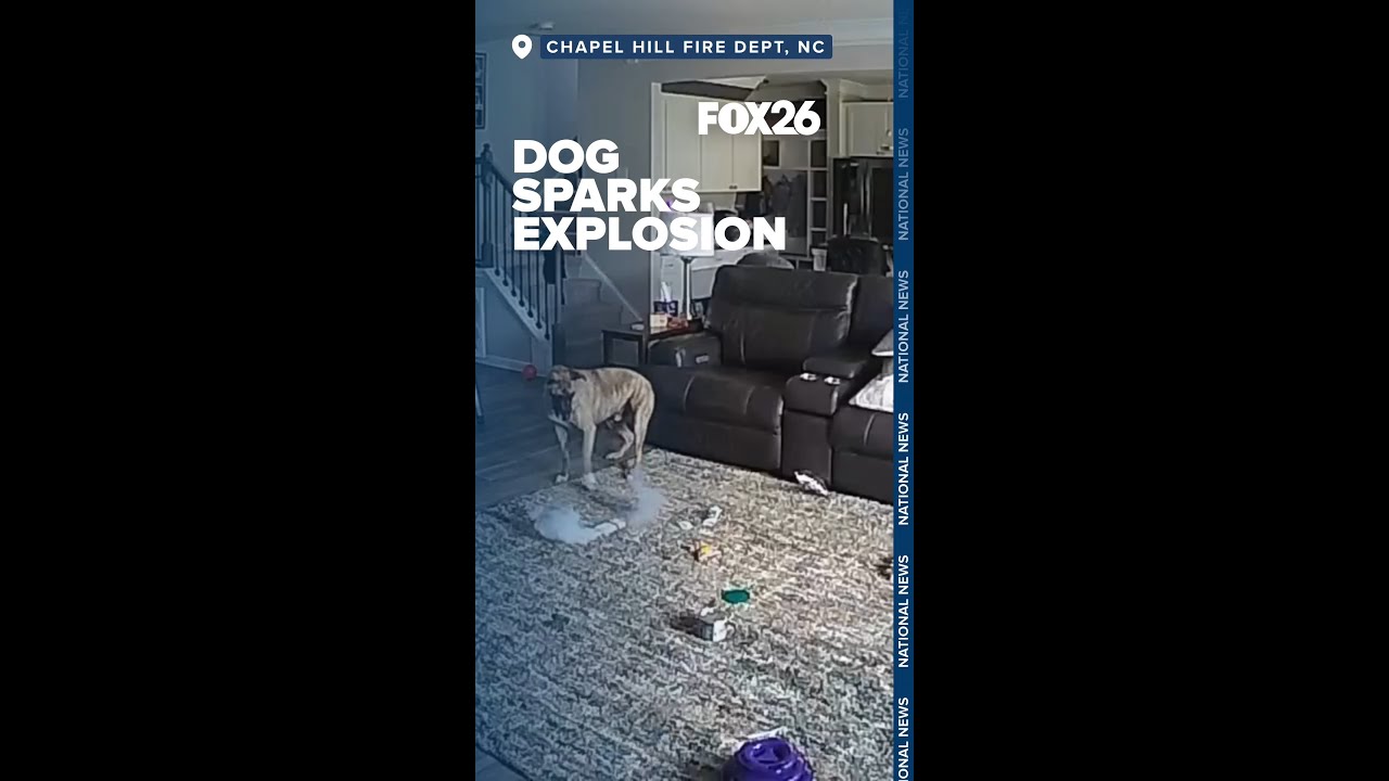 Dog sparks explosion after chewing on lithium-ion battery device