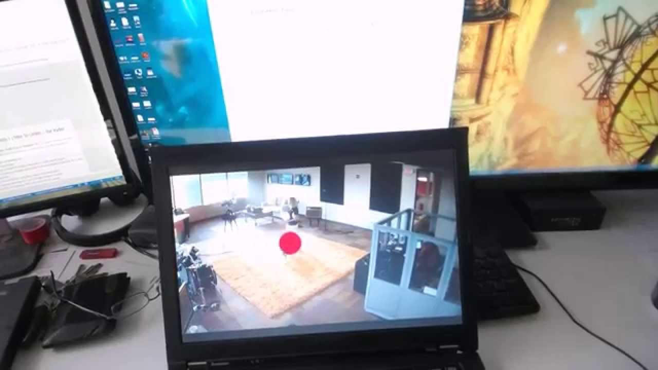 Pupil Pro Eye Tracking Test - KTRS Dog Tricks
