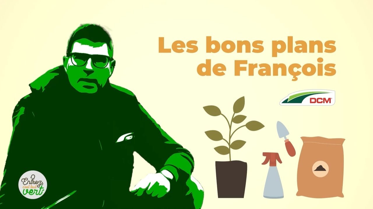 Comment avoir un potager sur ton balcon facilement ?