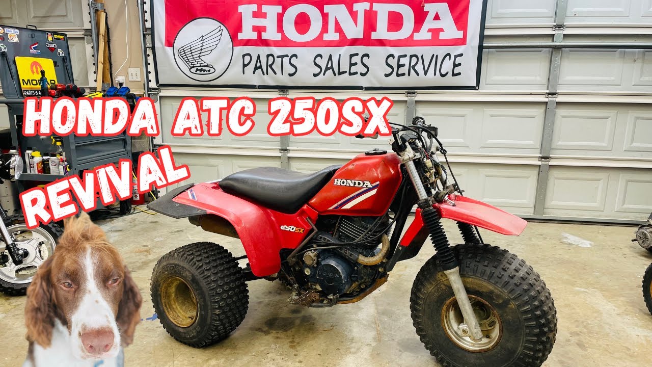 Возрождение Honda ATC 250SX 1985 года: поедет ли? Часть 1