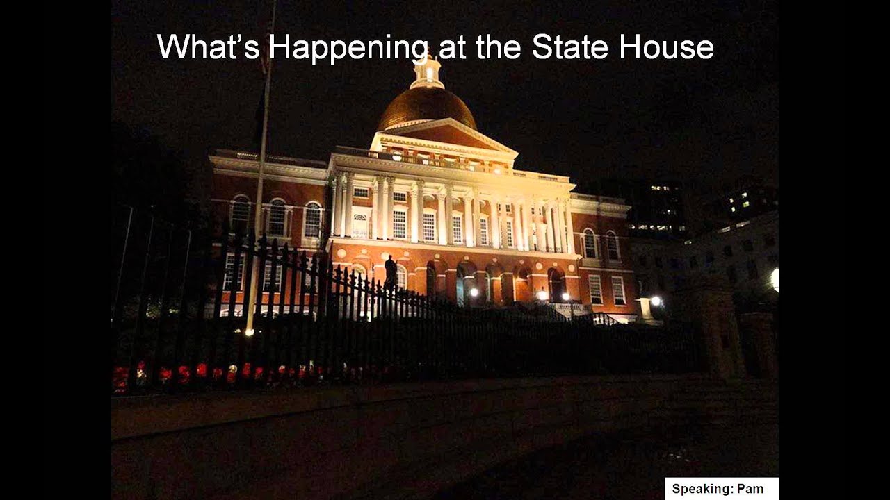 Election Protection: 2012 Debrief & 2013 Next Steps