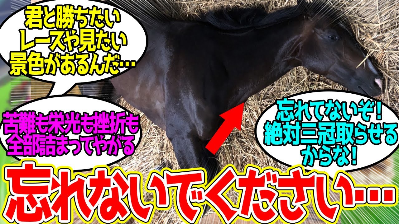タイトルホルダーです…に対するみんなの反応！【競馬 の反応集】