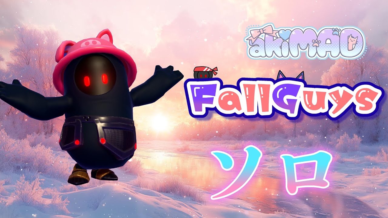 👑20689~【Fall Guys/ フォールガイズ】ソロ【スナイプ歓迎】