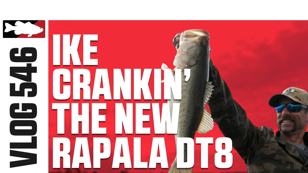 Рыбалка с Айком на новые Rapala DT8 и Molix Trago Vibe во Флориде &mdash; VLOG#546