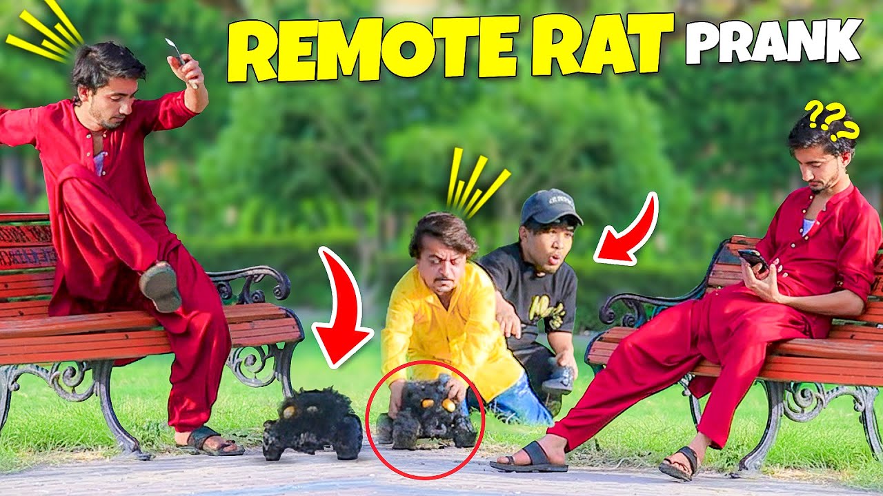 Remote Rat Prank! 🐭😂