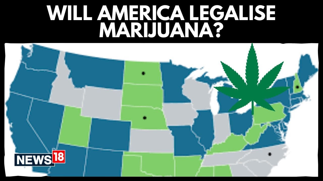 США | Трамп рассматривает возможность переклассификации марихуаны | В Америке скоро произойдут ма...