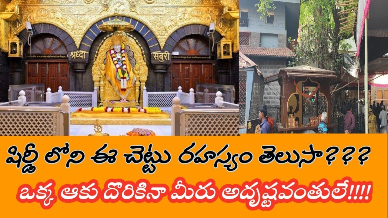 #Shiridi లోని ఈ చెట్టు రహస్యం తెలుసా ? Shiridi full tour in telugu | Shiridi Tourist places  II
