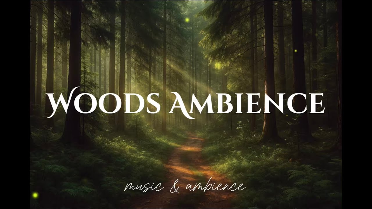 Woods Ambience 🍃 | Music & Ambience (1 HOUR)