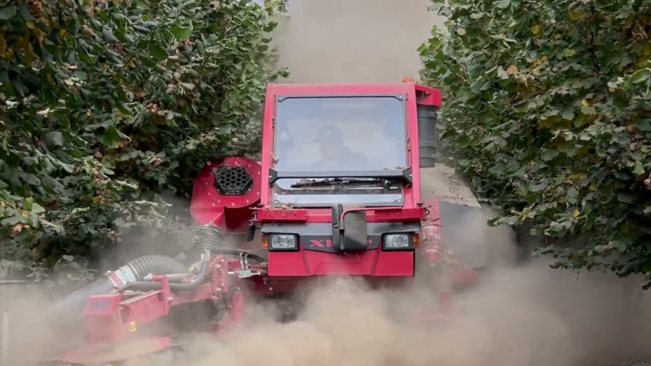 Hazelnut harvesting machine