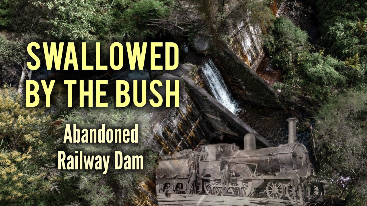 Bull's Creek Dam: The Forgotten Railway Water Supply of Linden