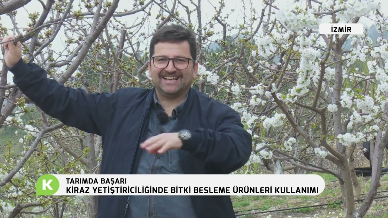 KİRAZ YETİŞTİRİCİLİNDE BİTKİ BESLEME ÜRÜNLERİN KULLANIMI - İZMİR | TARIMDA BAŞARI
