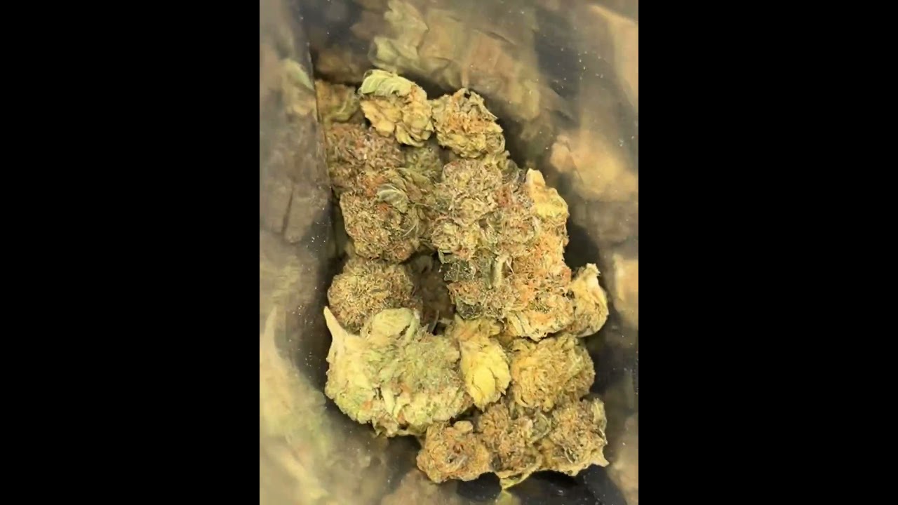 #find #grassroots #weed #indoor #girlscout #cookies #thinmints #cannabiseducation #indoorplants