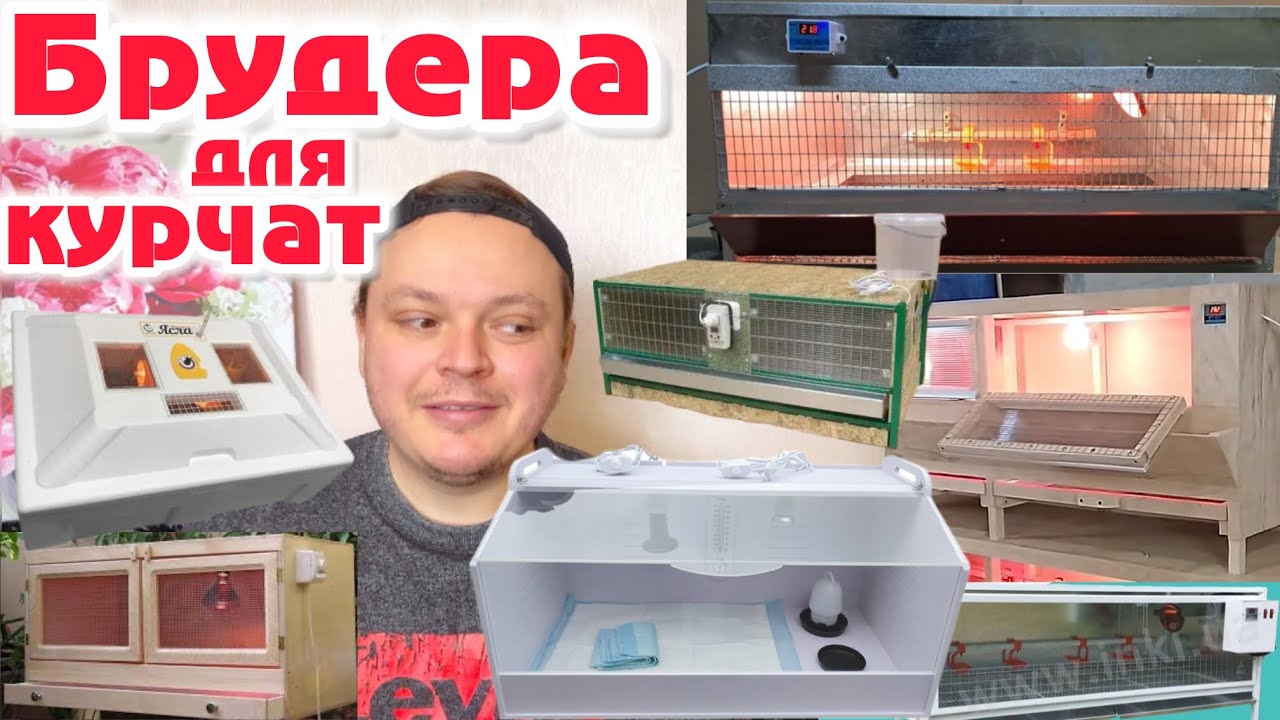 БРУДЕР для Курчат🐣турбота з перших днів😉Який обрати