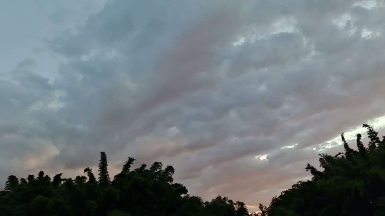 Matteo Mancuso, Vancouver (2025)