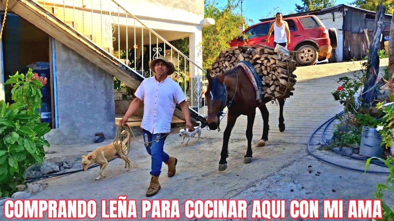 Comprando leña para que mi ama cociné unos buenos guisados