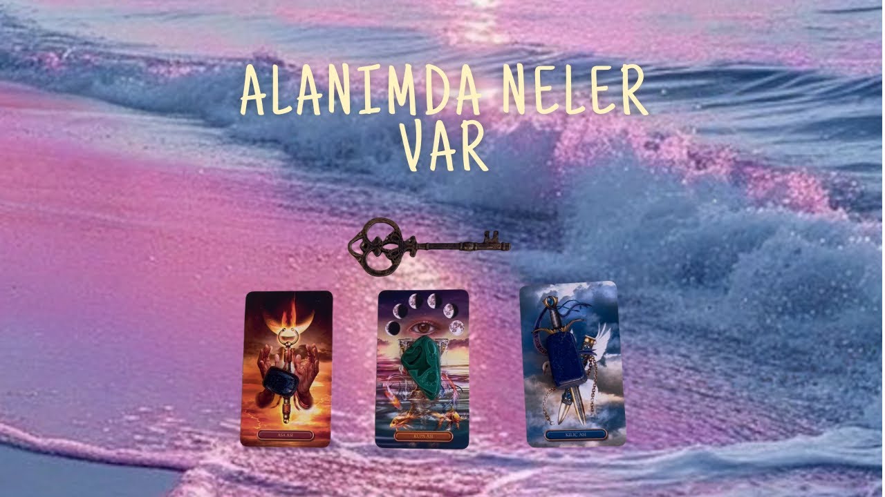 Alanında Ne Var 🌼