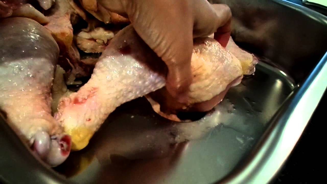 Raw Food Diet for Dogs (Chicken) #1