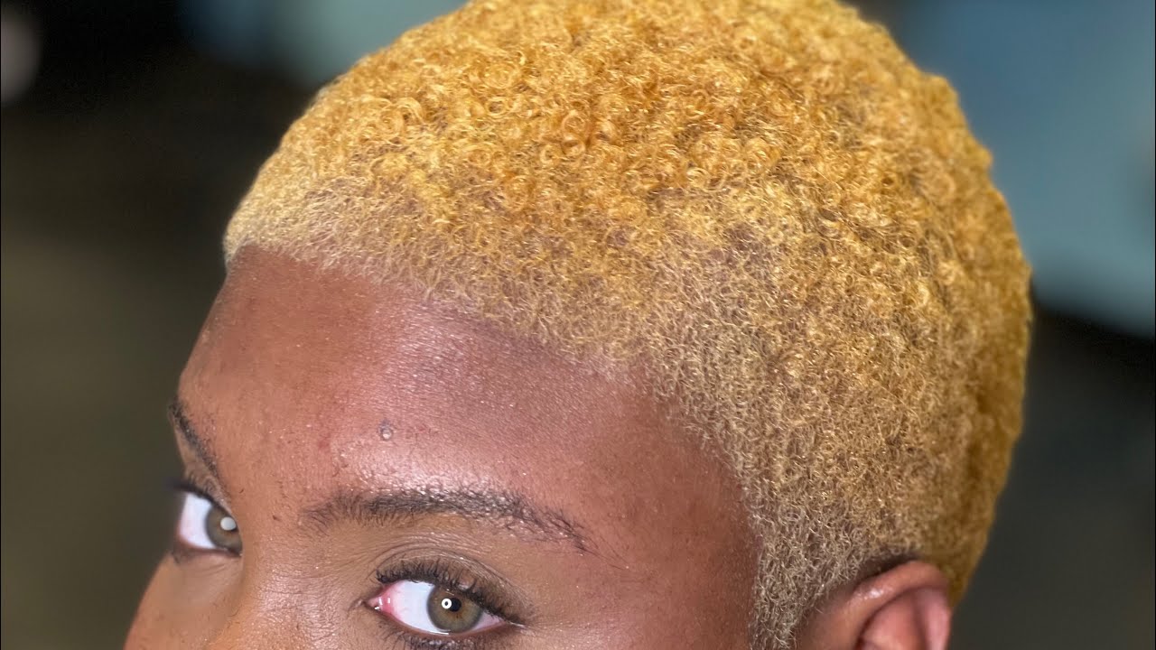 Freehand Scissor Haircut & Color 