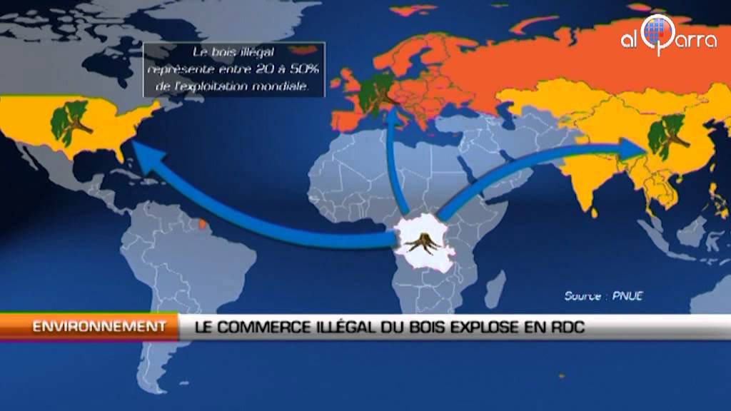 Le commerce illégal du bois explose en RD Congo