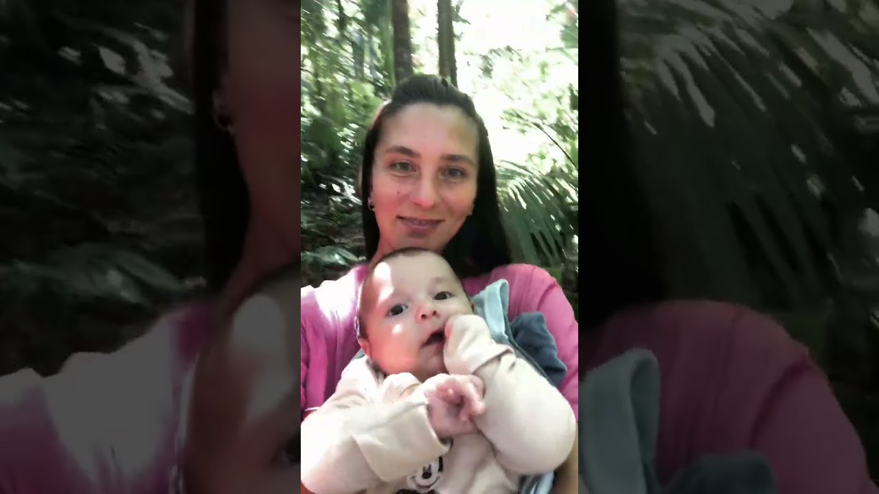 Parque das aves Foz do Iguaçu 