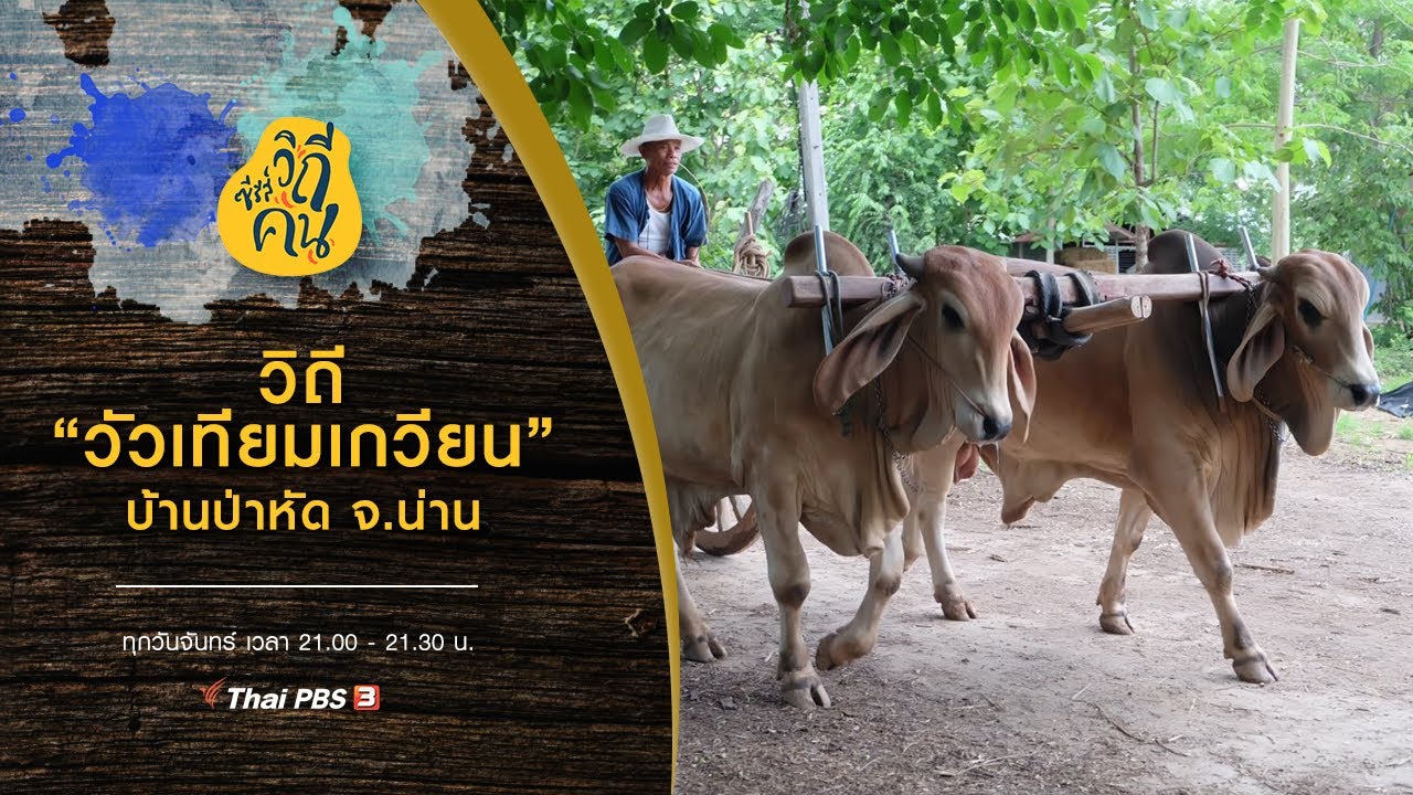 วิถี 