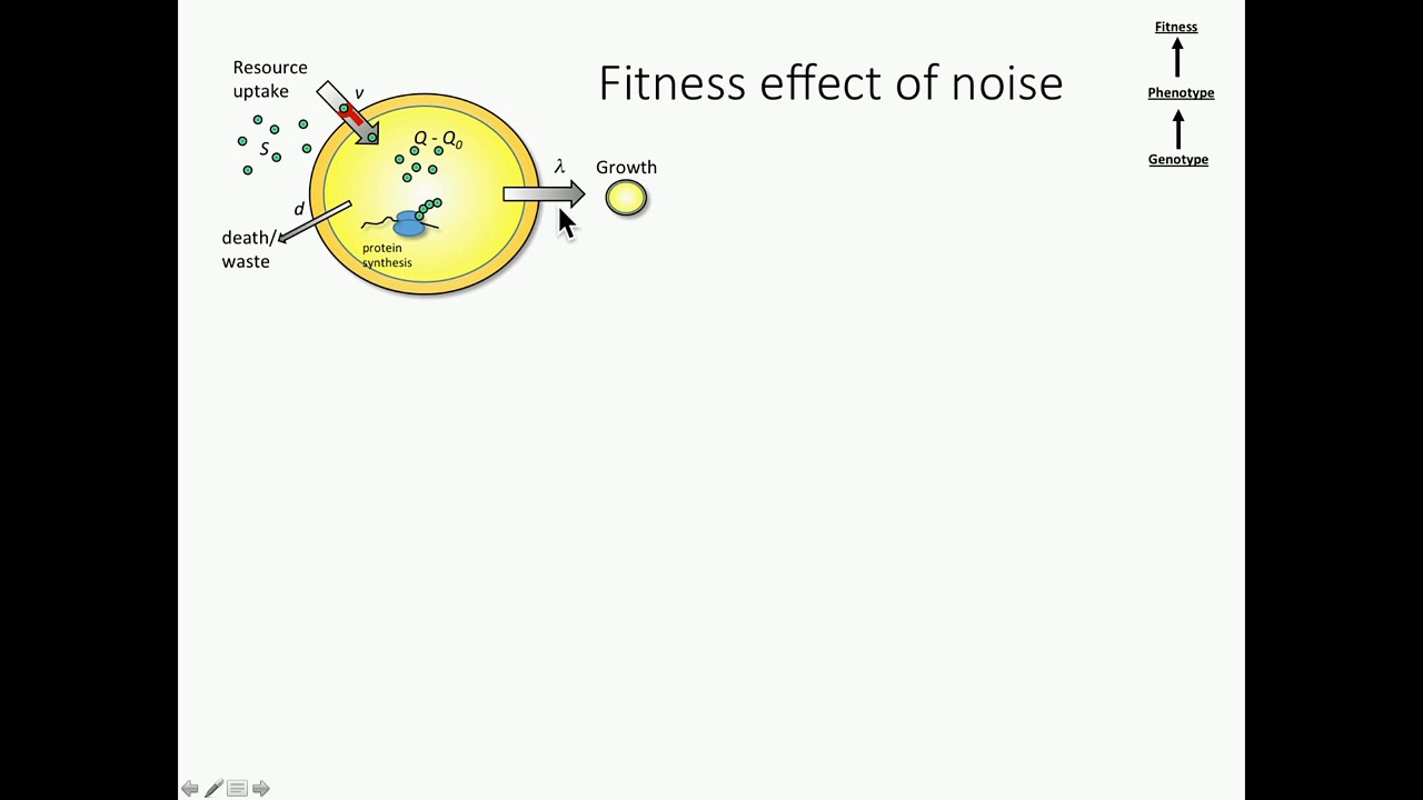 JD Van Dyken: The cost of biochemical noise & the evolutionary limits of cellular robustness.