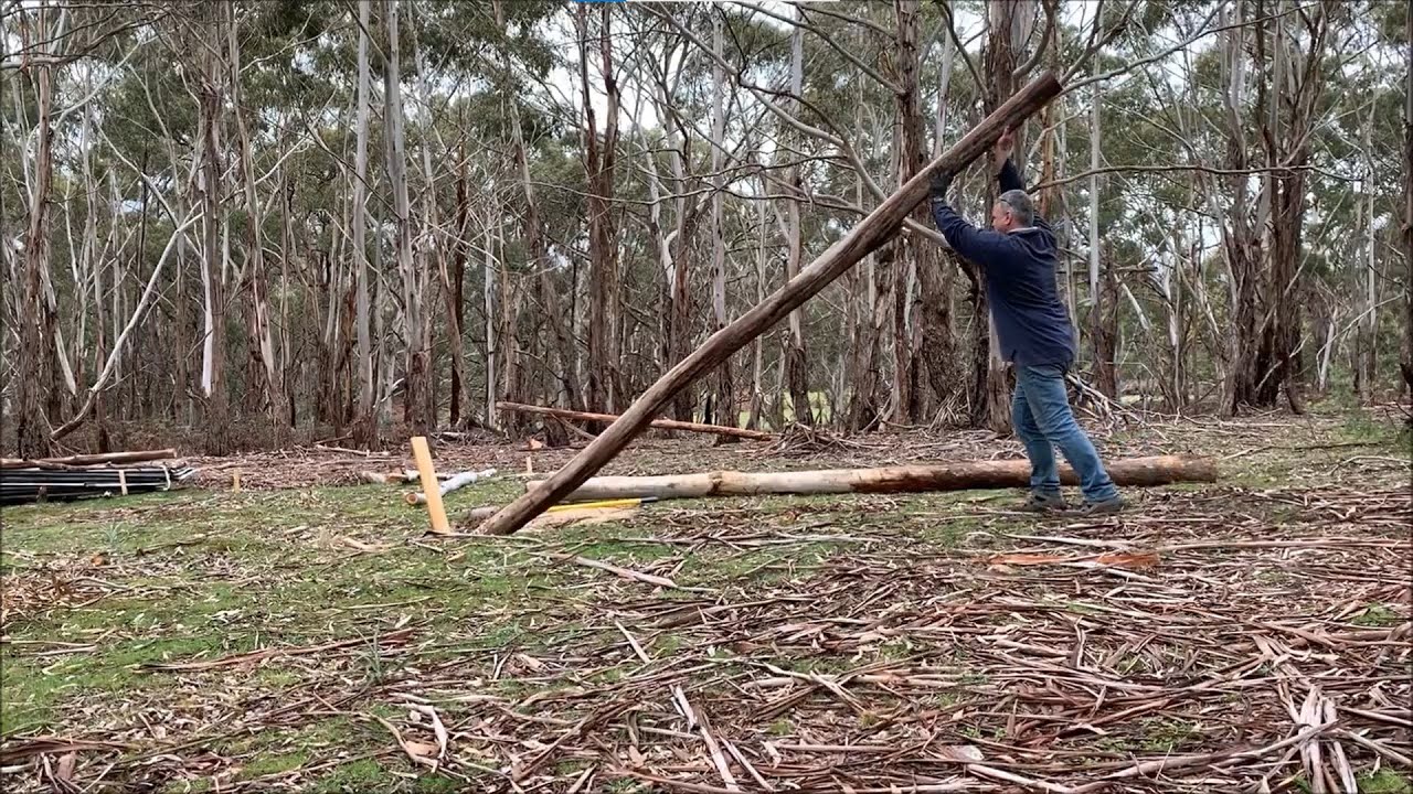 Australian High Country Cabin / Shack Build - Installing natural hardwood posts as the uprights.