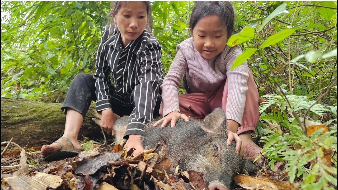Mom went into the forest and saw a wild boar. Then she picked the fruit