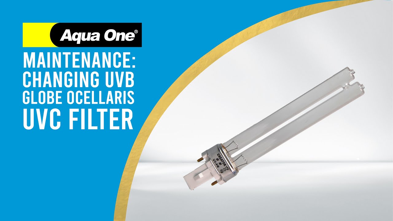 Maintenance: Changing UVB Globe Ocellaris UVC Canister Filter