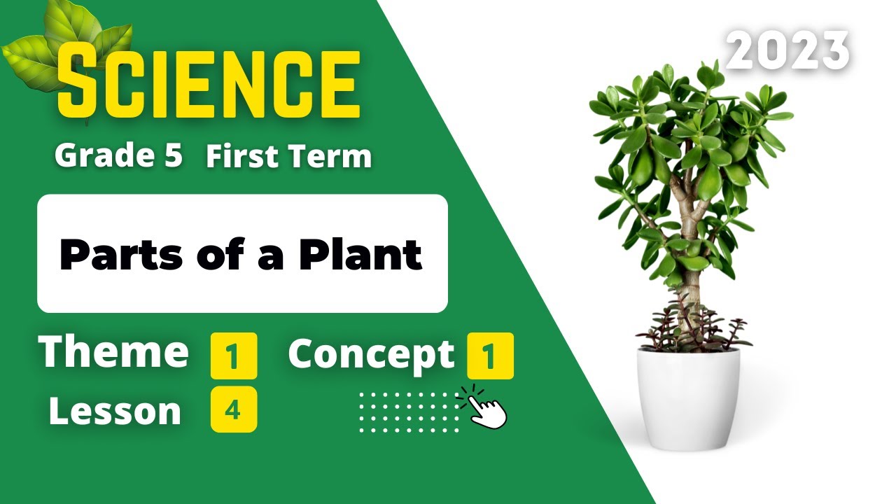Grade 5 | Science | Unit 1 - Concept 1 - Lesson 4 - Parts of a Plant