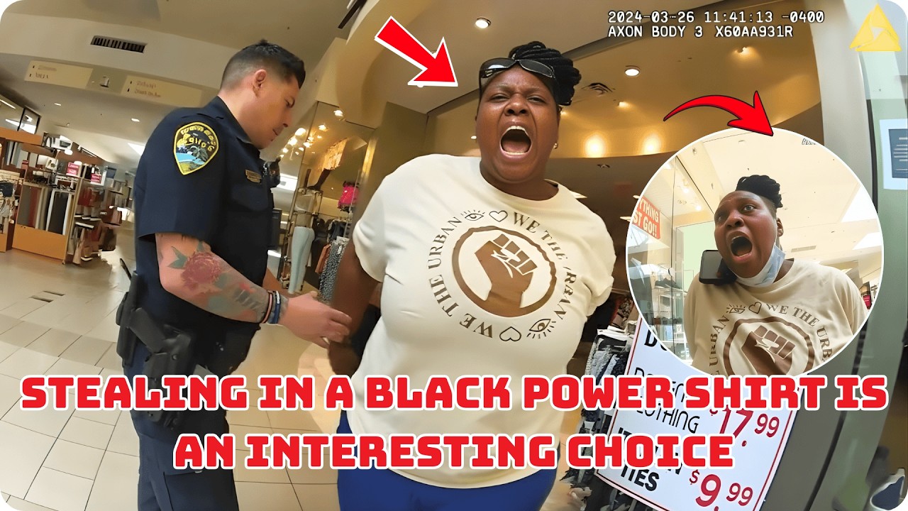 FL Felony Retail Theft: $1,000+ Stolen, Accomplices Fled — Full Legal Analysis