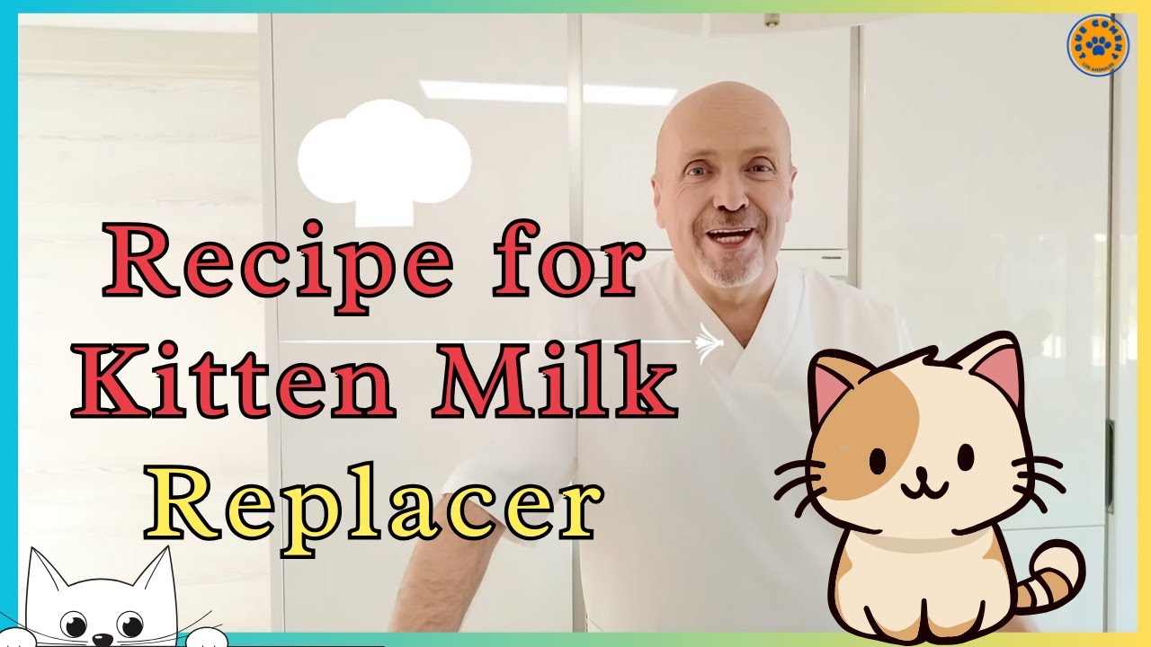 🐱 INCREDIBLE EASY 🐱 RECIPE FOR KITTEN MILK REPLACER (PART 1)
