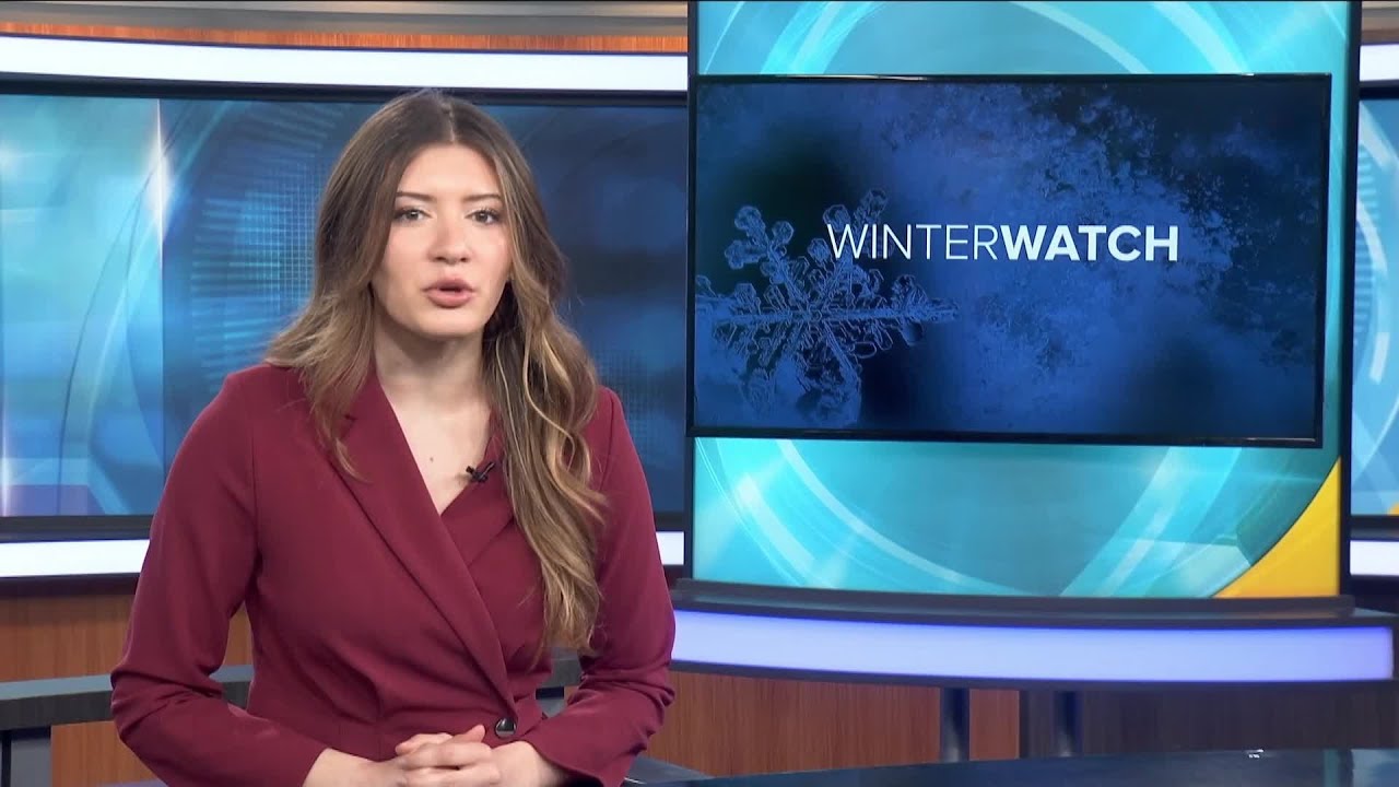 MTN 5:30 Новости о втором квартале с Ванессой Уиллардсон 14.03.2026