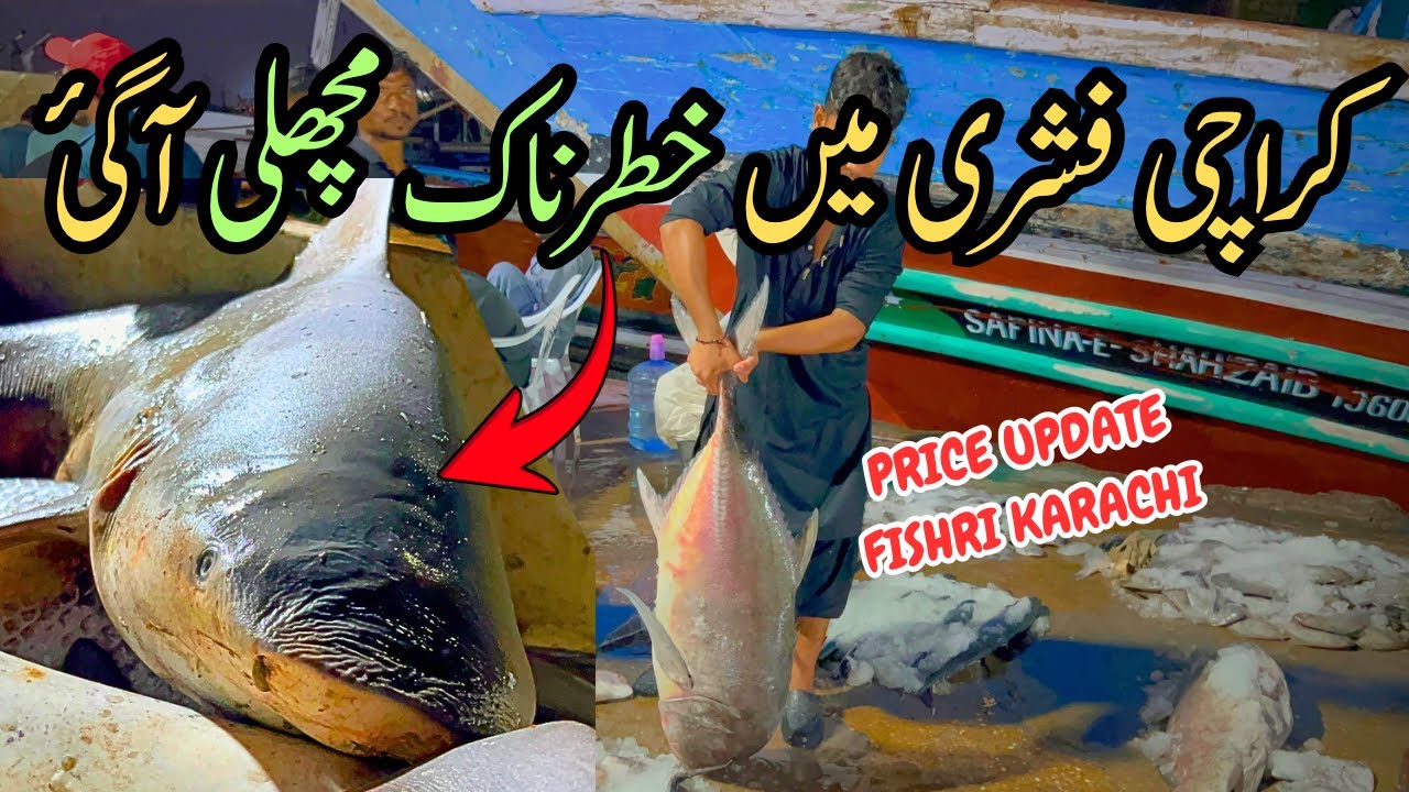 karachi fishri🐟| sea food | fish price update |🐟 karachi ki bari fish market | update price sep 2025