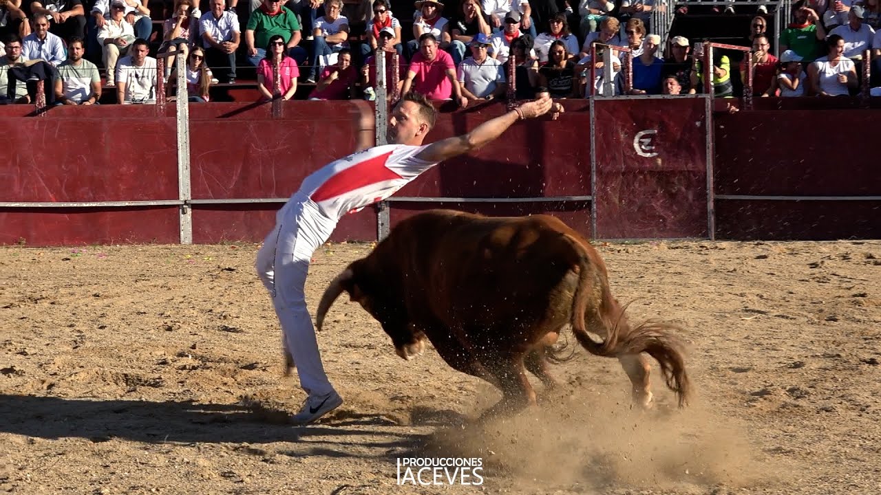 Concurso de Cortes Vallelado  14-09-24