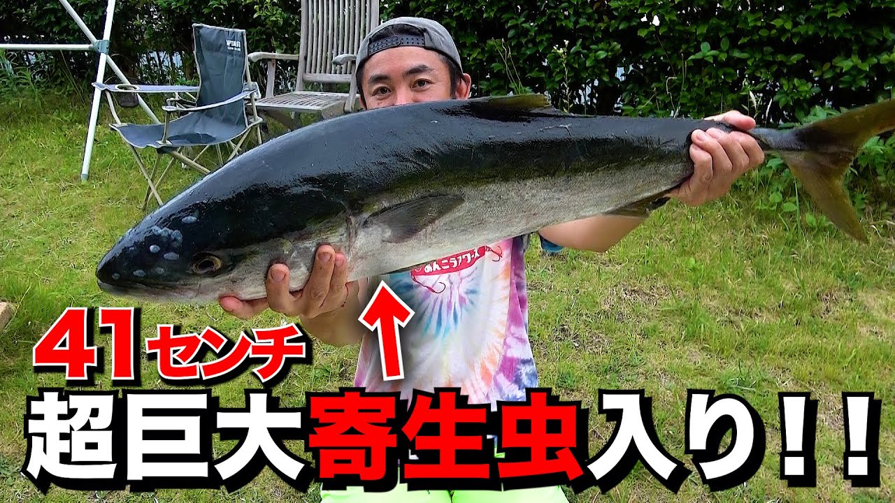 【巨大寄生虫現る】筏で釣ったブリを捌いたら1000匹以上の虫の塊だった！！！！