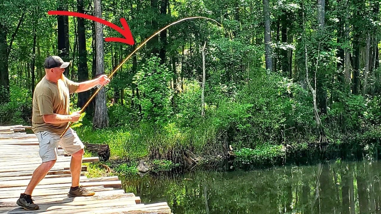 Riverbank fishing with a CANE POLE catching BLUEGILL and other BIG PANFISH!!!