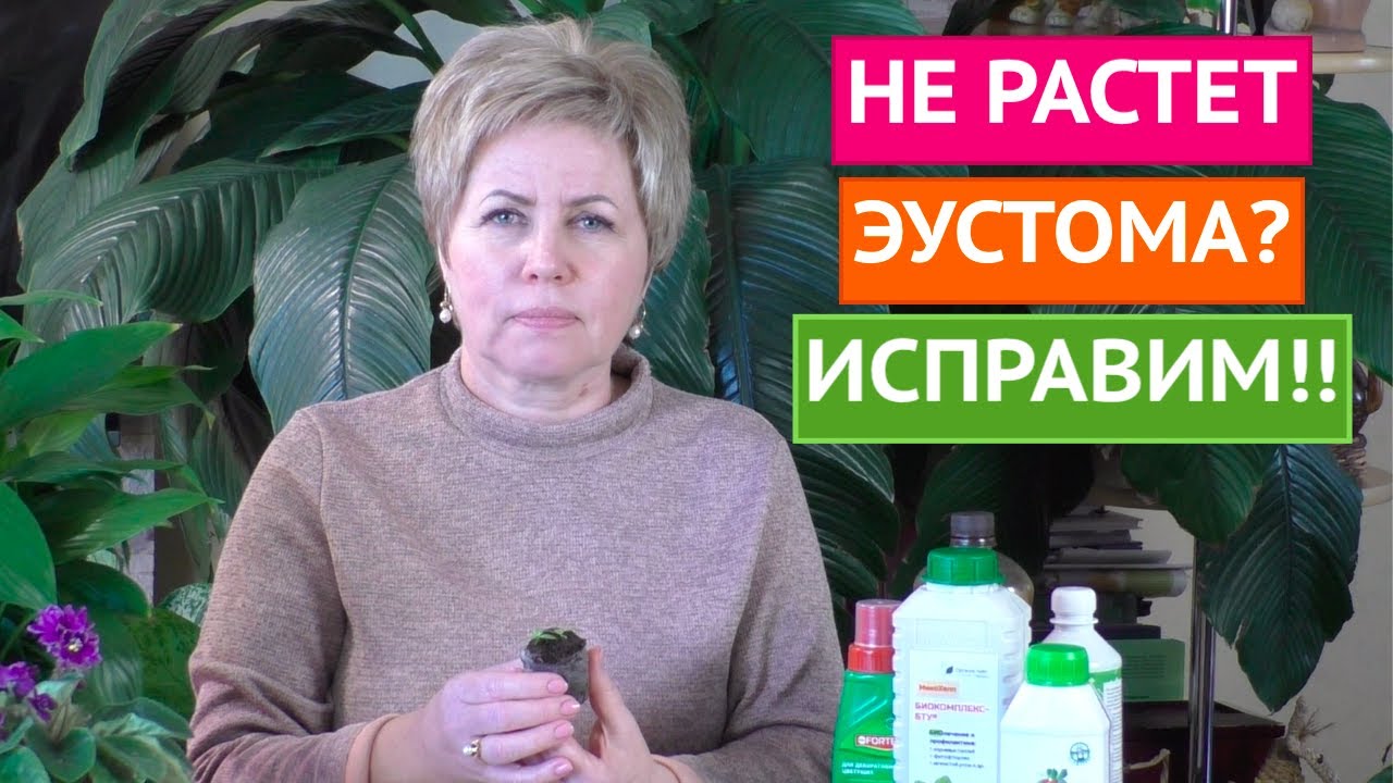 КАК ЗАСТАВИТЬ ЭУСТОМУ РАСТИ! ДЕЛЮСЬ СВОИМИ СЕКРЕТАМИ!