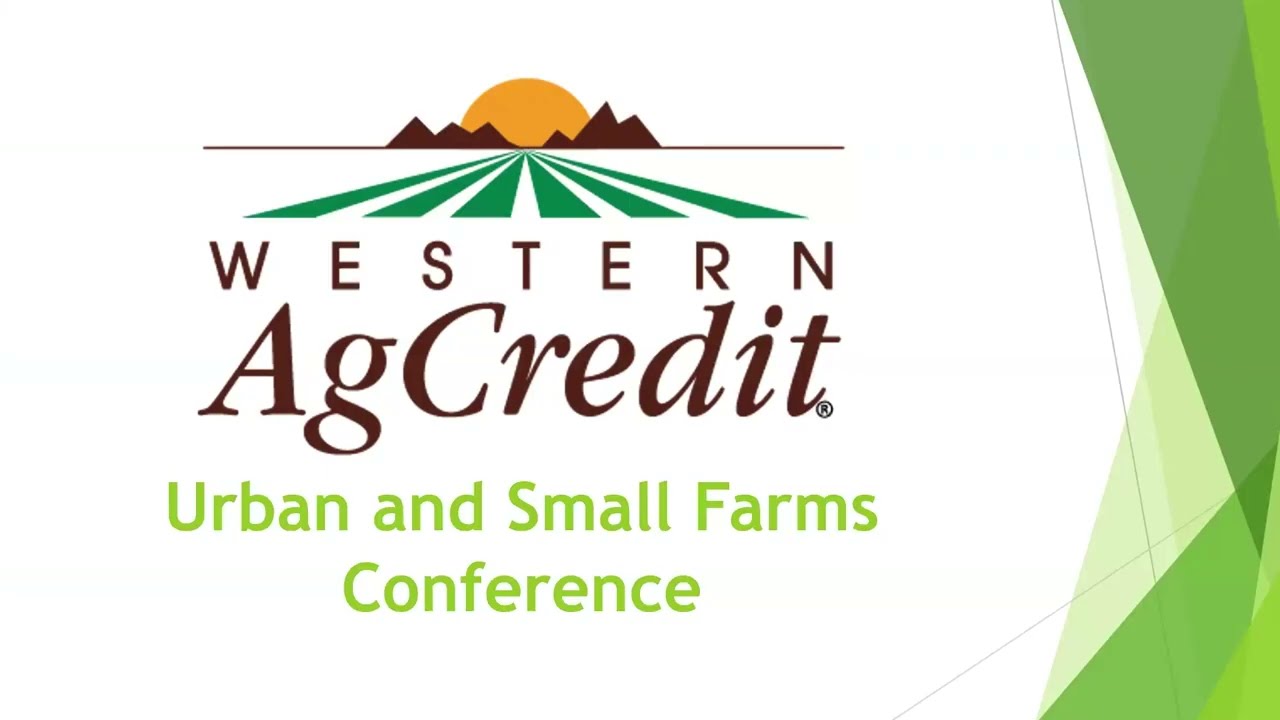 Управление денежными потоками и кредитами в период расширения бизнеса.