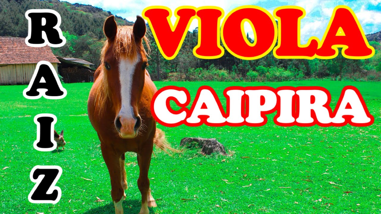 RECANTO DA VIOLA CAIPIRA - O SOM DE COISAS DA ROÇA