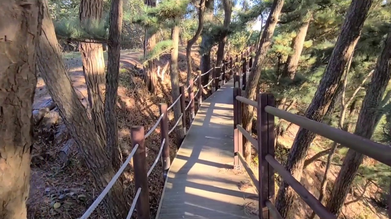 옹진군 북도면 신시모도 트레킹