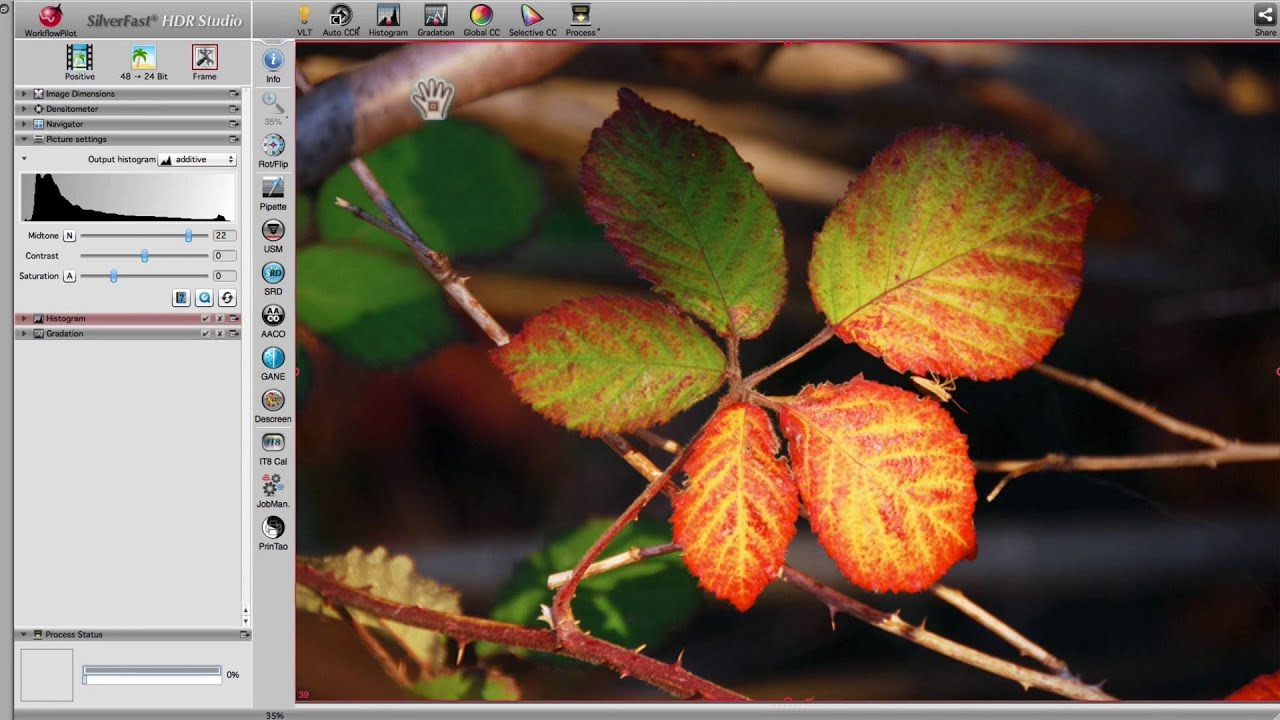 SilverFast 8 - L'optimisation de l'image automatique (francais)