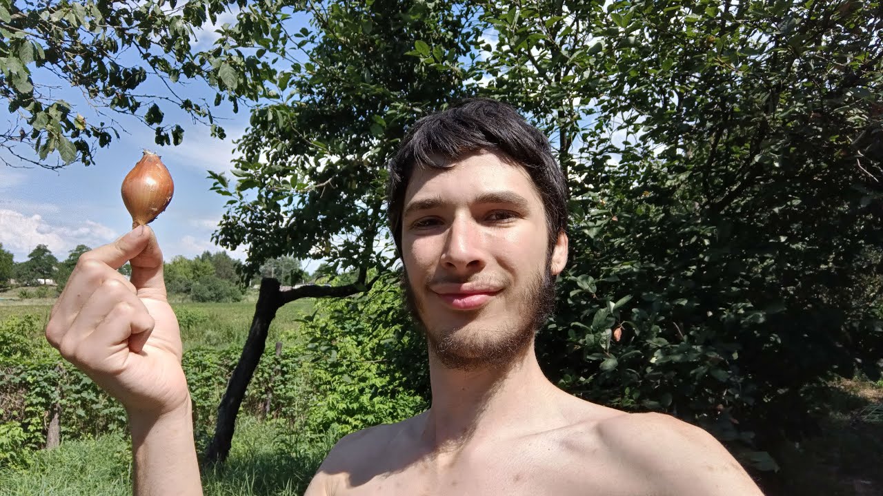 Регенерация лука - ВЛОГ - №9