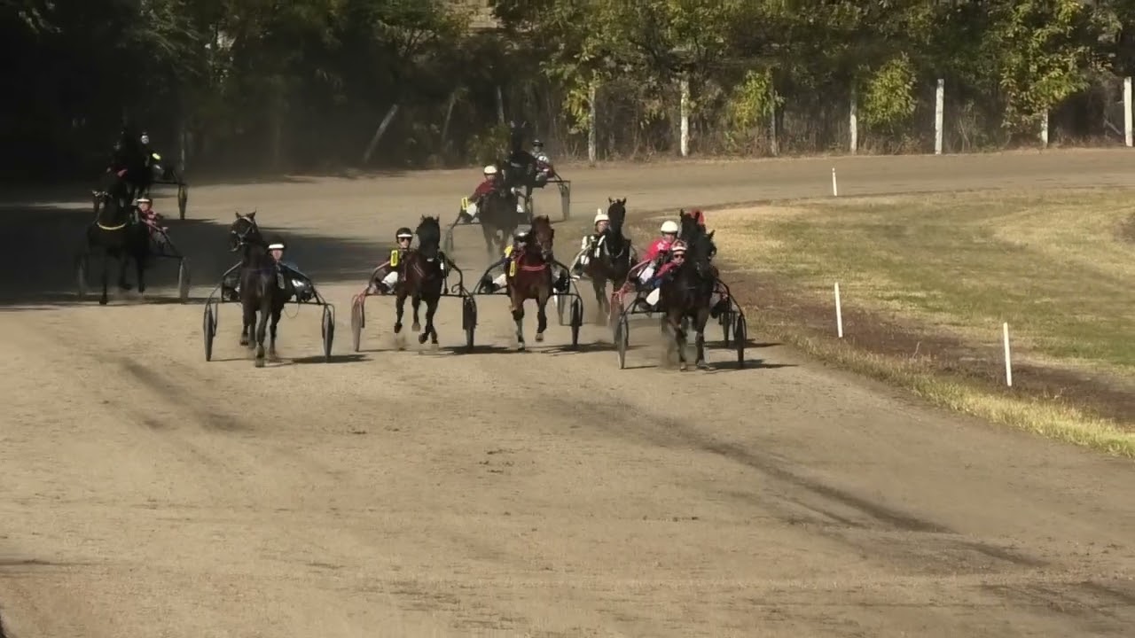 Dorotej & M. Srećkov