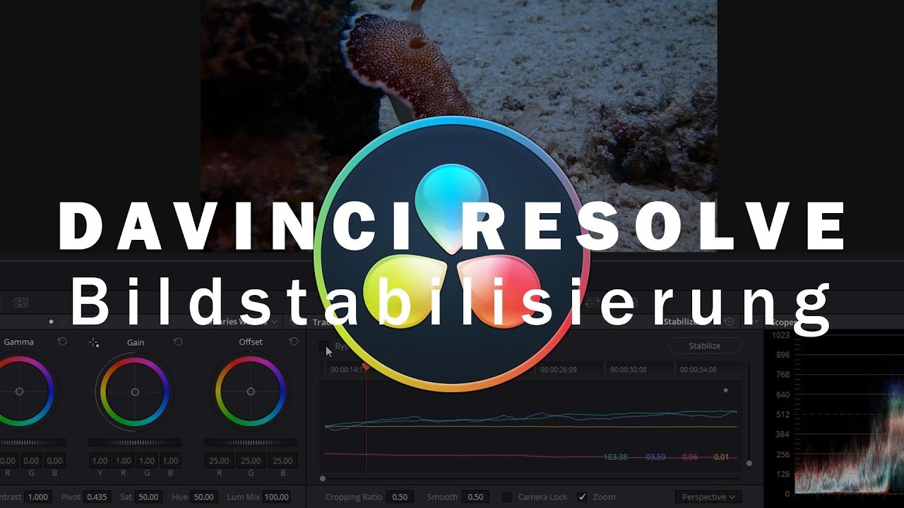 DaVinci Resolve 15 STABILIZER Tutorial / KOSTENLOSE Bildstabilisierung  (GER)