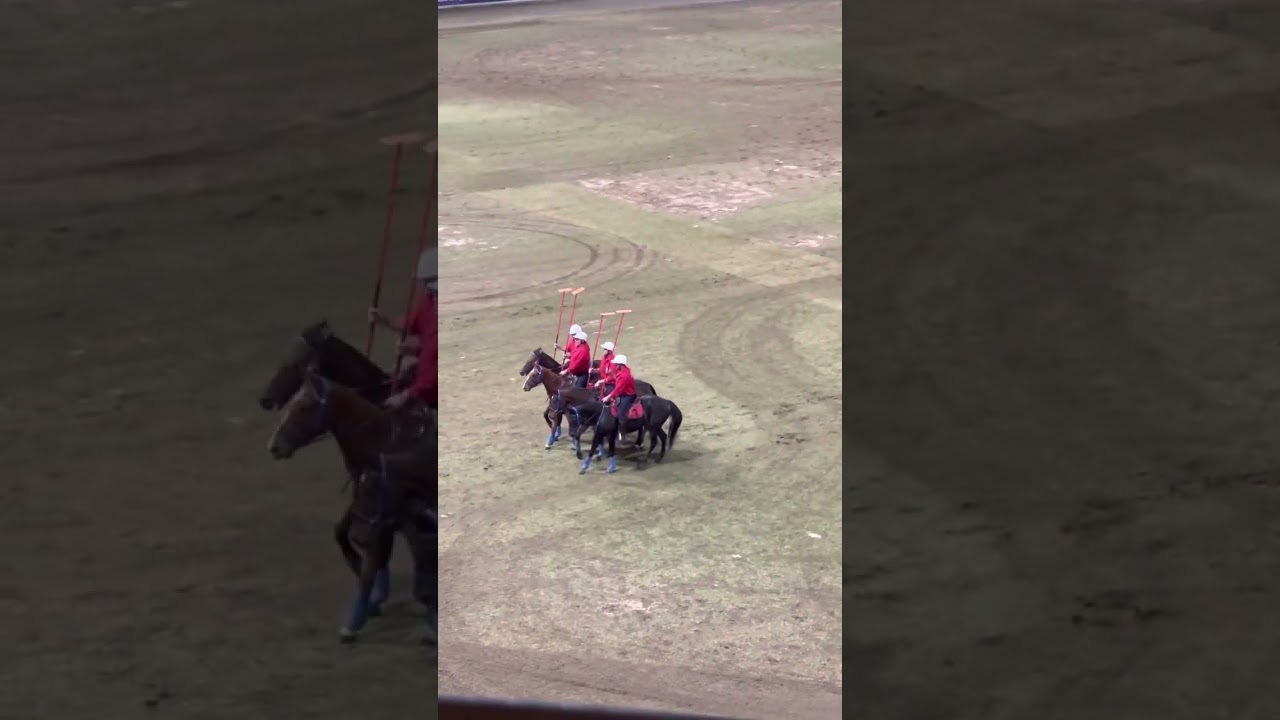 Sydney Easter Show 2023 Tent  pegging Light Horse